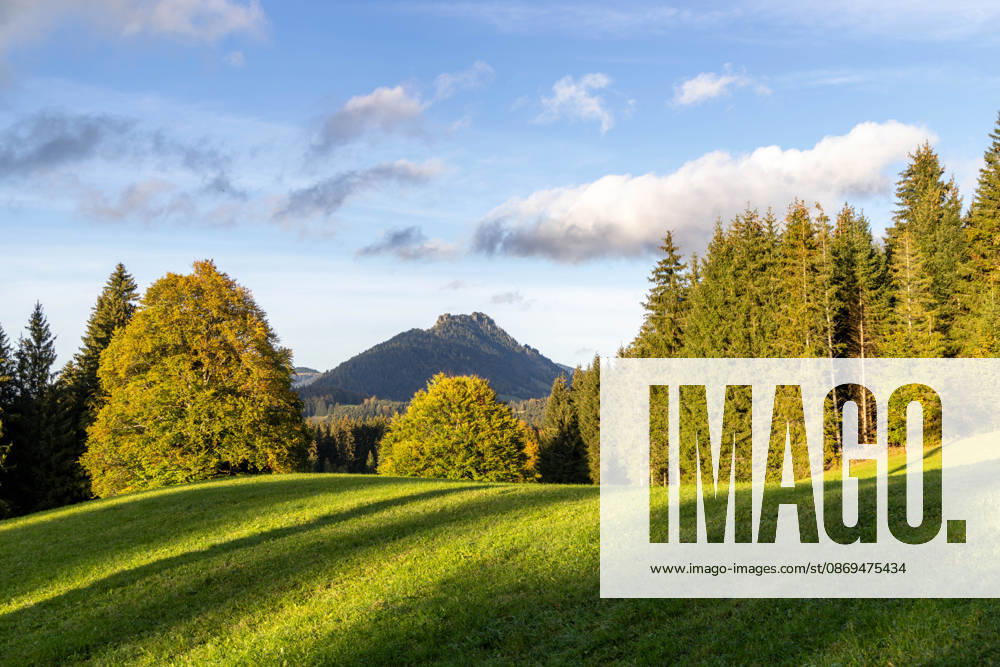 Autumn Evening in the Allgäu: Evening Scenery at Oberjoch in the Allgäu, Bad Hindelang, Bavaria, Germany