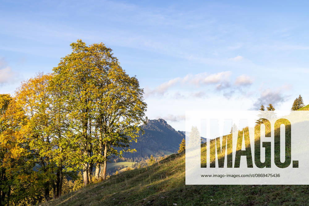 Autumn Evening in the Allgäu: Evening Scenery at Oberjoch in the Allgäu, Bad Hindelang, Bavaria, Germany