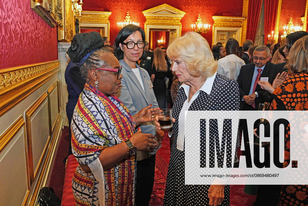 Commonwealth Diaspora reception Queen Camilla speaking to guests, during a reception at St. James s Palace in London, to celebrate the Commonwealth Diaspora, ahead of the Commonwealth Heads of Government Meeting in Antigua and Barbuda. Picture date: Wednesday October 14, 2026., Credit:Aaron Chown PA ROTA - B68 Avalon UK, London