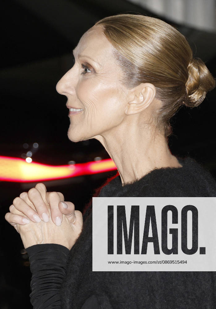 Céline Dion greets her fans as she arrives at the Royal Monceau hotel in Paris after her concert at the Plénitude Arena in Paris La Défense on October 14, 2026. Christophe Aubert, Bestimage. Céline Dion greets her fans as she arrives at the Royal Monceau hotel in Paris after her concert at the Plénitude Arena in Paris La Défense on October 14, 2026, Paris, France