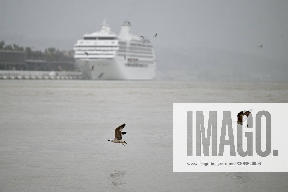Heavy rainfall in Istanbul ISTANBUL, TURKIYE - OCTOBER 15: Seagulls are seen in Eminonu district during heavy rainfall in Istanbul, Turkiye, on October 15, 2026. Arif Hudaverdi Yaman Anadolu Istanbul Turkey. Editorial use only. Please get in touch for any other usage.