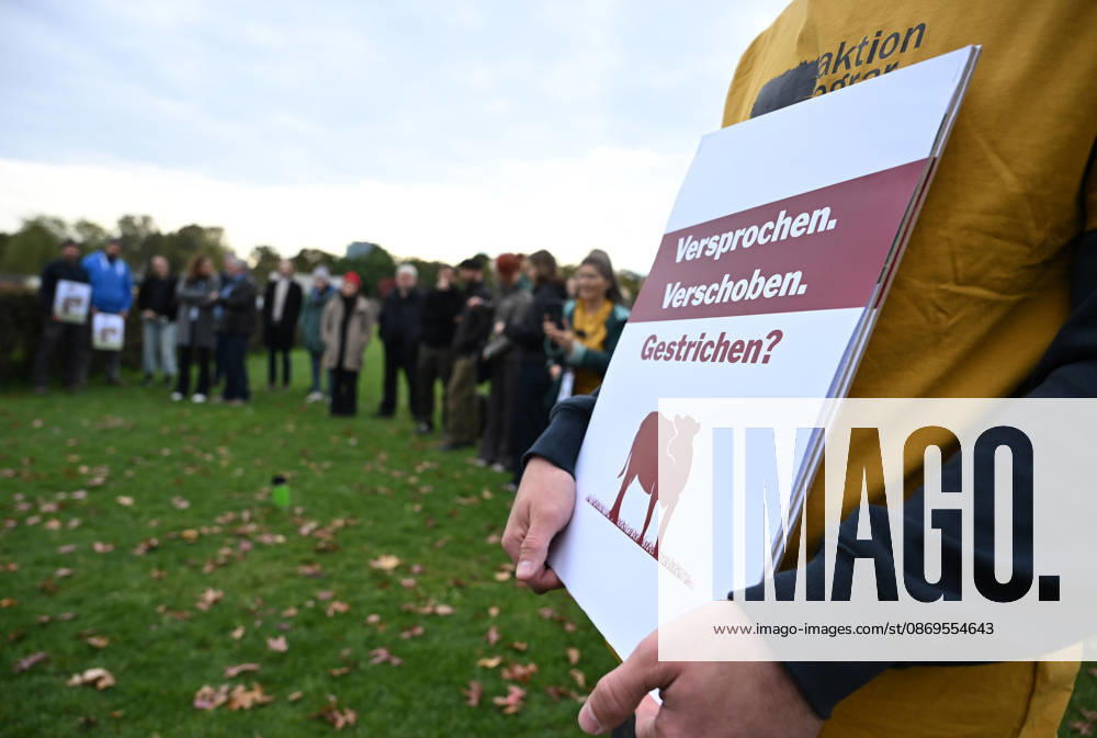Rally calls for dairy cow pasture subsidy in Berlin BERLIN, GERMANY – OCTOBER 15: People protest in front of the German Bundestag for the introduction of a planned eco-scheme to support pasture-based dairy farming, in Berlin, Germany, 15 October 2026. The Bundestag is scheduled to debate a draft bill that would scrap the proposed subsidy. The protest is part of a week of action highlighting the importance of pasture-based livestock farming. Volodymyr Sindieiev Anadolu Berlin Germany. Editorial use only. Please get in touch for any other usage.