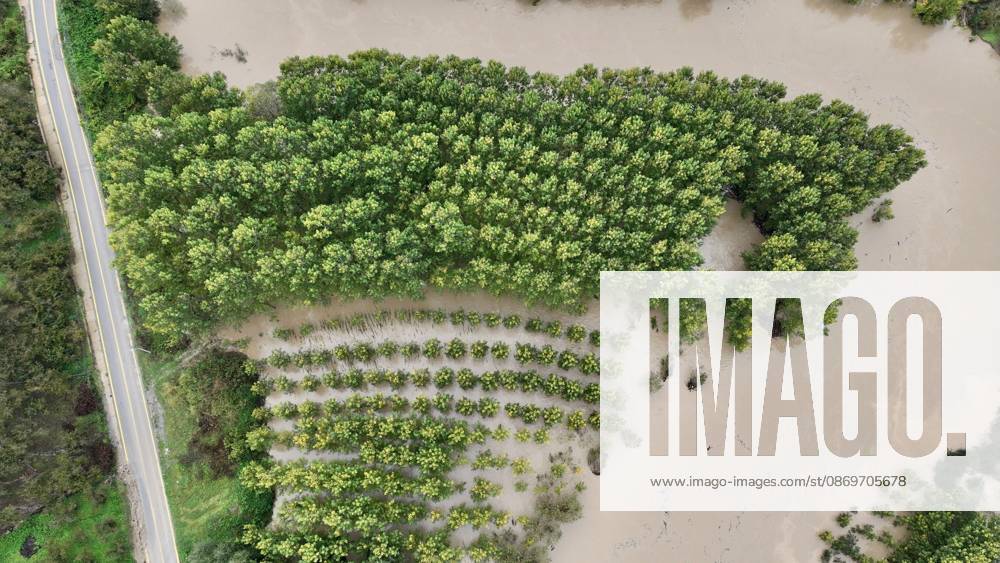 Heavy rains hit Duzce, Turkiye DUZCE, TURKIYE - OCTOBER 16: An aerial view shows floodwaters from the overflowing Melen River covering agricultural land near Demiracma village as heavy rain continues in the Akcakoca and Kocaali areas, on October 16, 2026 in Duzce, Turkiye. The river, which flows into the Black Sea, reached some residential areas after overflowing its banks. At Melenagzi Harbor, four small fishing boats reportedly capsized and drifted out to sea, while three others sank inside the harbor. Omer Urer Anadolu Duzce Turkey. Editorial use only. Please get in touch for any other usage.