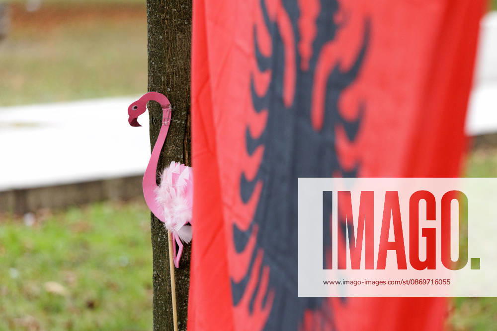 Solidarity Protest for Albania held in Berlin. A paper flamingo and the Albanian flag as people gather opposite the Albanian embassy during a protest organized by ˜Flamingos von Berlin in Berlin, Germany, 16 October 2026. The organizers called for solidarity with students in Albania and denounced corruption, demanding the resignation of Edi Rama. Berlin