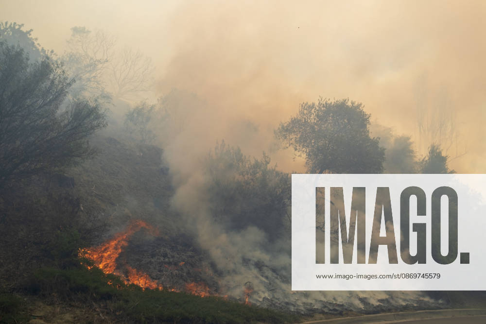 October16, 2026, San Juan Capistrano, California, USA: Fire crews are aggressively battling a wind-driven brush fire that burned several homes and threatened thousands of others in the area of San Juan Capistrano and San Clemente Friday, prompting evacuation orders. The Norte Fire exploded to 465 acres and remains 0 percent contained as of 4 p.m. O.C. Fire Authority officials said the Norte Fire started around 11:30 a.m. near Portico Del Norte and Eminencia Del Norte in San Clemente, east of Interstate 5. Fueled by strong Santa Ana winds, the wildfire then blew into neighboring San Juan Capistrano. San Juan Capistrano USA - ZUMAr19_ 20261016_new_r19_186