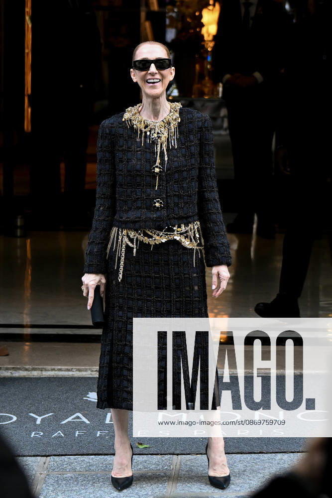 Céline Dion spends time with her fans outside her hotel in Paris. Céline Dion spends time with fans before heading to the venue, the Royal Monceau Hotel in Paris, France 460538 2026 10 17 Paris France Dion, Céline