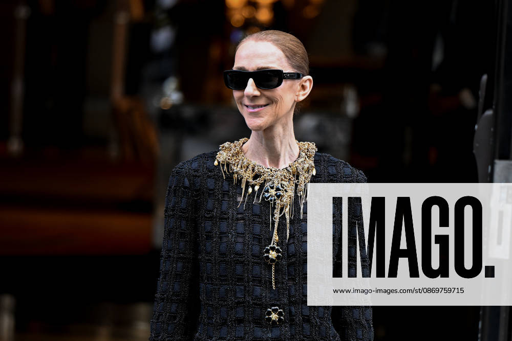 Céline Dion spends time with her fans outside her hotel in Paris. Céline Dion spends time with fans before heading to the venue, the Royal Monceau Hotel in Paris, France 460538 2026 10 17 Paris France Dion, Céline