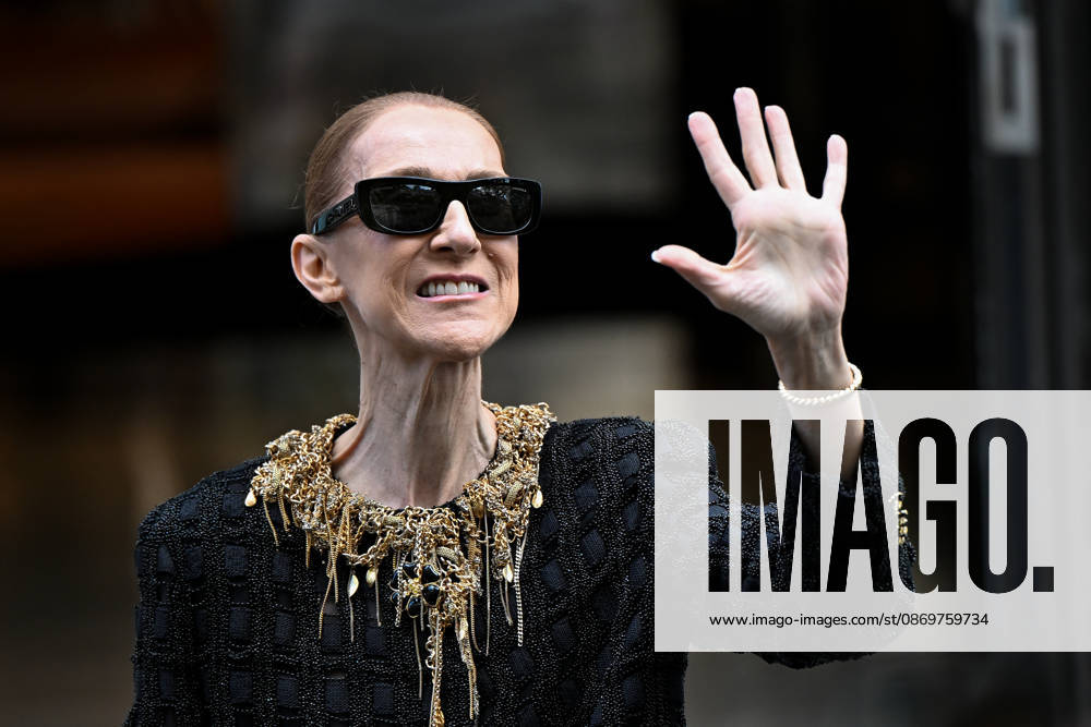 Céline Dion spends time with her fans outside her hotel in Paris. Céline Dion spends time with fans before heading to the venue, the Royal Monceau Hotel in Paris, France 460538 2026 10 17 Paris France Dion, Céline