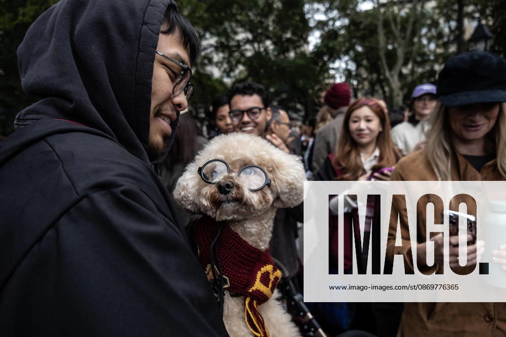 NEW YORK, NEW YORK - OCTOBER 17, 2026: A dog dressed in Halloween costume competes during the Washington Square Park ConservancyÃ¢â‚¬â ¢s annual Dog Halloween Costume Contest at Garibaldi Plaza in Washington Square Park in New York City. New York City USA - ZUMAt442 20261017_znp_t442_001