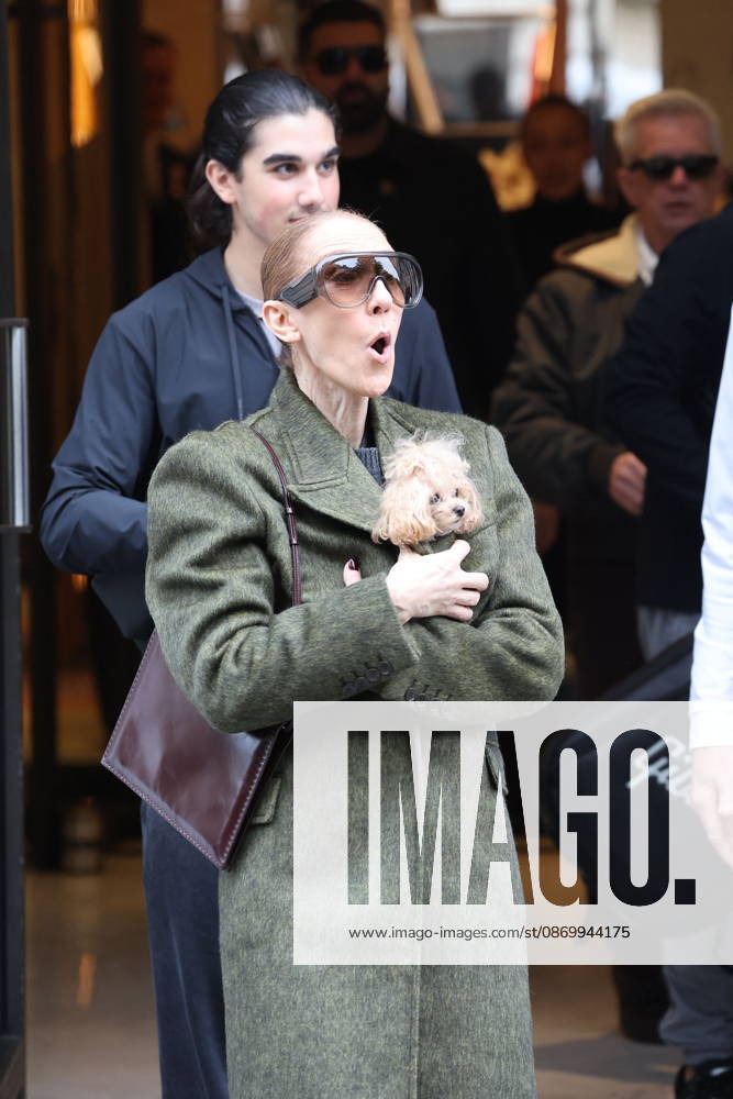 Céline Dion leaves the Royal Monceau hotel with her sons Nelson and Eddy and her dog the day after her final concert in Paris on October 19, 2026. Cyril Moreau, Bestimage. Céline Dion leaves the Royal Monceau hotel with her sons Nelson and Eddy and her dog, the day after her final concert in Paris on October 19, 2026, Paris, France