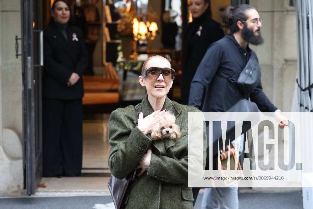 Céline Dion leaves the Royal Monceau hotel with her sons Nelson and Eddy and her dog the day after her final concert in Paris on October 19, 2026. Cyril Moreau, Bestimage. Céline Dion leaves the Royal Monceau hotel with her sons Nelson and Eddy and her dog, the day after her final concert in Paris on October 19, 2026, Paris, France