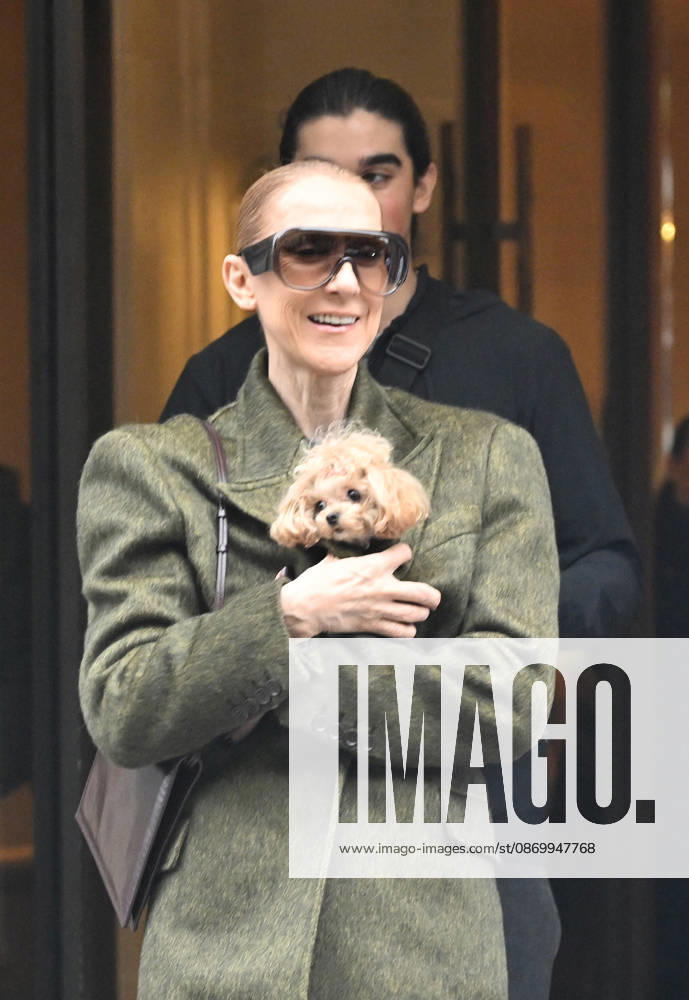 Céline Dion leaves the Royal Monceau hotel with her sons Nelson and Eddy and her dog after her concert series in Paris on October 19, 2026. Christian Liewig, Bestimage. Céline Dion leaves the Royal Monceau hotel with her sons Nelson and Eddy and her dog after her concert series in Paris on October 19, 2026 Paris, France