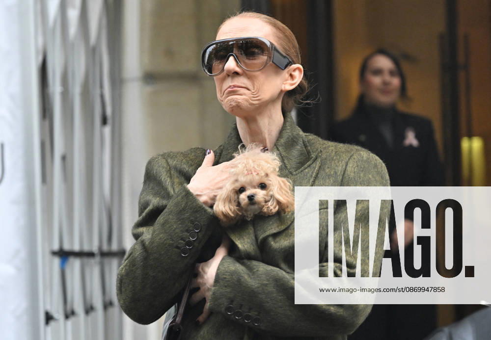 Céline Dion leaves the Royal Monceau hotel with her sons Nelson and Eddy and her dog after her concert series in Paris on October 19, 2026. Christian Liewig, Bestimage. Céline Dion leaves the Royal Monceau hotel with her sons Nelson and Eddy and her dog after her concert series in Paris on October 19, 2026 Paris, France