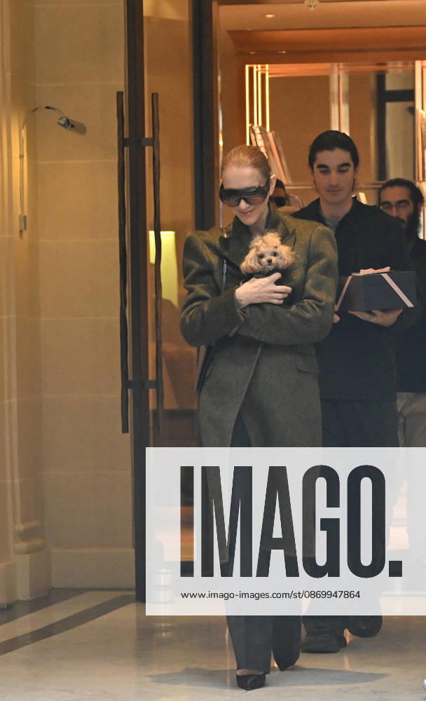 Céline Dion leaves the Royal Monceau hotel with her sons Nelson and Eddy and her dog after her concert series in Paris on October 19, 2026. Christian Liewig, Bestimage. Céline Dion leaves the Royal Monceau hotel with her sons Nelson and Eddy and her dog after her concert series in Paris on October 19, 2026 Paris, France