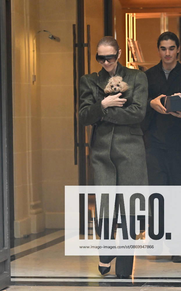 Céline Dion leaves the Royal Monceau hotel with her sons Nelson and Eddy and her dog after her concert series in Paris on October 19, 2026. Christian Liewig, Bestimage. Céline Dion leaves the Royal Monceau hotel with her sons Nelson and Eddy and her dog after her concert series in Paris on October 19, 2026 Paris, France