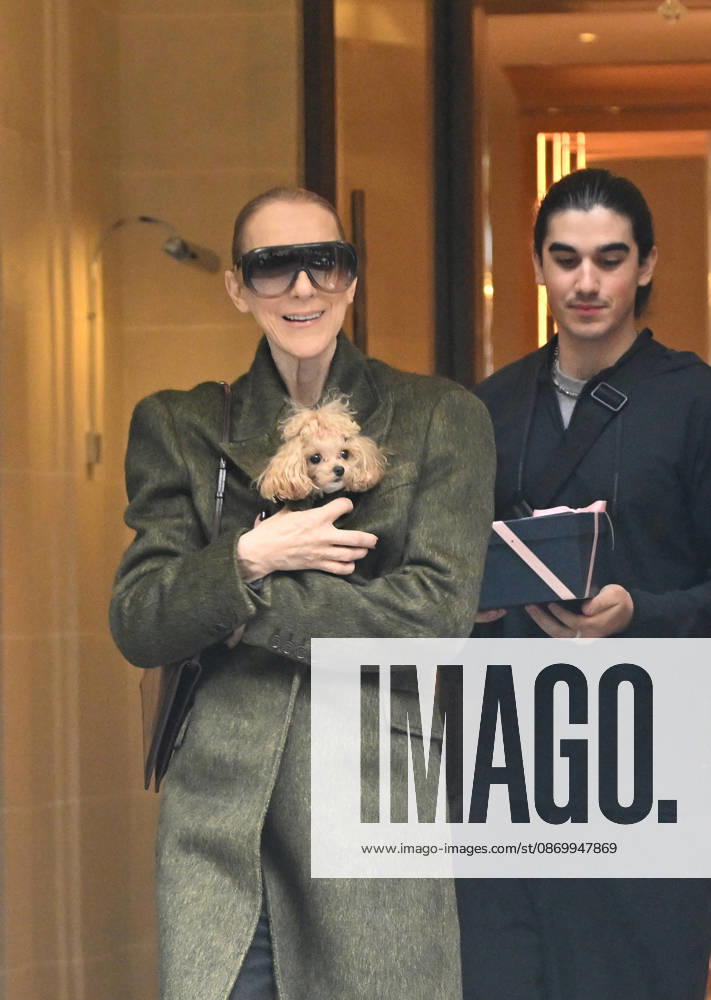 Céline Dion leaves the Royal Monceau hotel with her sons Nelson and Eddy and her dog after her concert series in Paris on October 19, 2026. Christian Liewig, Bestimage. Céline Dion leaves the Royal Monceau hotel with her sons Nelson and Eddy and her dog after her concert series in Paris on October 19, 2026 Paris, France
