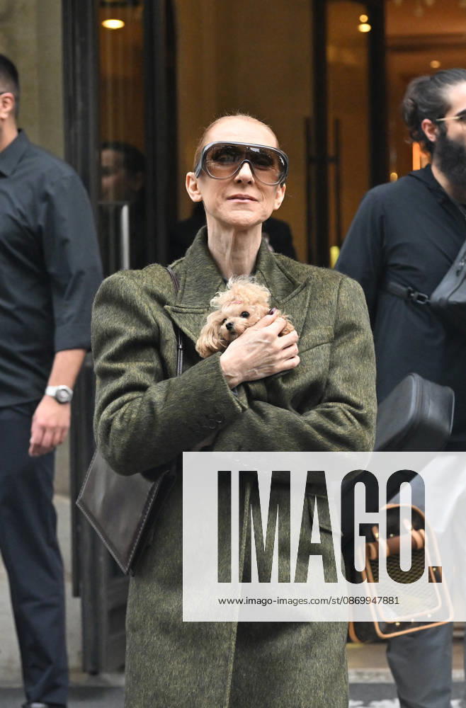 Céline Dion leaves the Royal Monceau hotel with her sons Nelson and Eddy and her dog after her concert series in Paris on October 19, 2026. Christian Liewig, Bestimage. Céline Dion leaves the Royal Monceau hotel with her sons Nelson and Eddy and her dog after her concert series in Paris on October 19, 2026 Paris, France