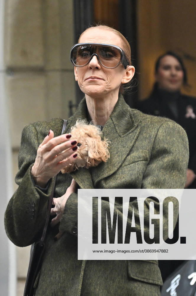 Céline Dion leaves the Royal Monceau hotel with her sons Nelson and Eddy and her dog after her concert series in Paris on October 19, 2026. Christian Liewig, Bestimage. Céline Dion leaves the Royal Monceau hotel with her sons Nelson and Eddy and her dog after her concert series in Paris on October 19, 2026 Paris, France