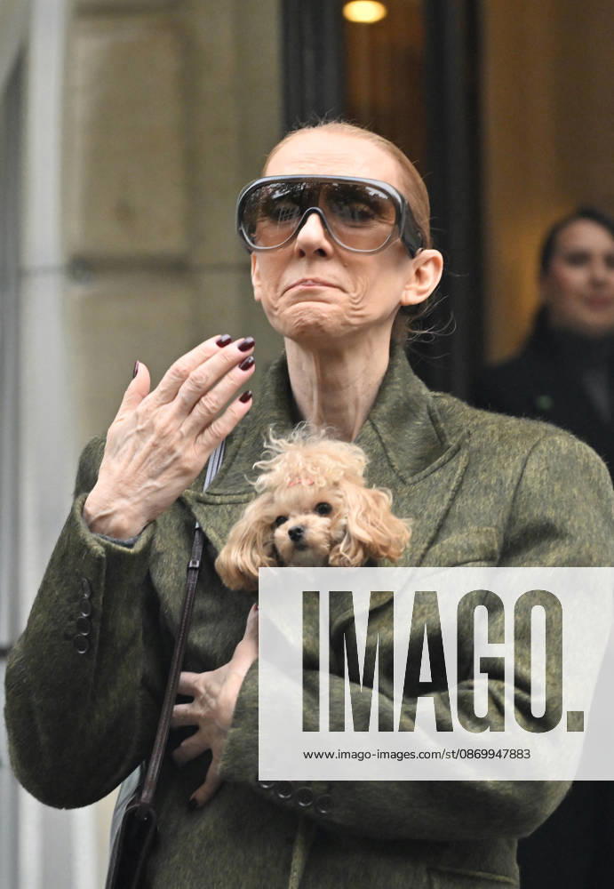 Céline Dion leaves the Royal Monceau hotel with her sons Nelson and Eddy and her dog after her concert series in Paris on October 19, 2026. Christian Liewig, Bestimage. Céline Dion leaves the Royal Monceau hotel with her sons Nelson and Eddy and her dog after her concert series in Paris on October 19, 2026 Paris, France