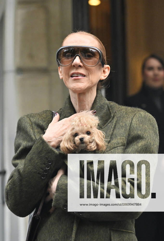 Céline Dion leaves the Royal Monceau hotel with her sons Nelson and Eddy and her dog after her concert series in Paris on October 19, 2026. Christian Liewig, Bestimage. Céline Dion leaves the Royal Monceau hotel with her sons Nelson and Eddy and her dog after her concert series in Paris on October 19, 2026 Paris, France