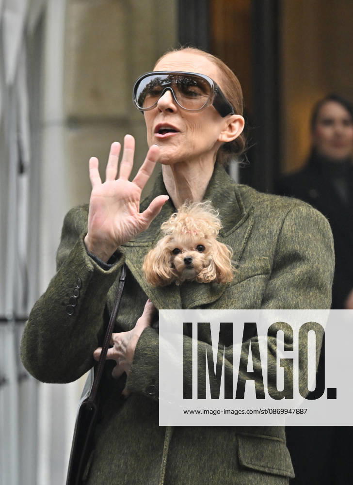 Céline Dion leaves the Royal Monceau hotel with her sons Nelson and Eddy and her dog after her concert series in Paris on October 19, 2026. Christian Liewig, Bestimage. Céline Dion leaves the Royal Monceau hotel with her sons Nelson and Eddy and her dog after her concert series in Paris on October 19, 2026 Paris, France
