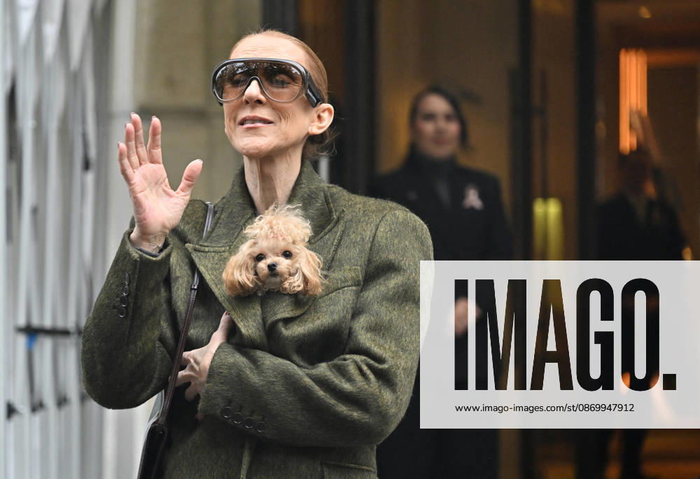 Céline Dion leaves the Royal Monceau hotel with her sons Nelson and Eddy and her dog after her concert series in Paris on October 19, 2026. Christian Liewig, Bestimage. Céline Dion leaves the Royal Monceau hotel with her sons Nelson and Eddy and her dog after her concert series in Paris on October 19, 2026 Paris, France