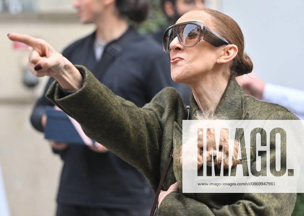 Céline Dion leaves the Royal Monceau hotel with her sons Nelson and Eddy and her dog after her concert series in Paris on October 19, 2026. Christian Liewig, Bestimage. Céline Dion leaves the Royal Monceau hotel with her sons Nelson and Eddy and her dog after her concert series in Paris on October 19, 2026 Paris, France