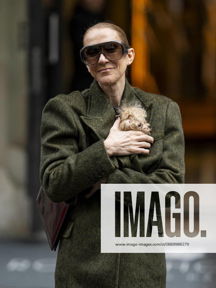 Céline Dion, accompanied by her sons Eddy and Nelson Angelil, leaves the Royal Monceau hotel for La Plenitude Arena in Paris after 16 concerts over five weeks in front of nearly 500,000 people, on October 19, 2026. Holding her dog, Madison, in her arms, the Canadian singer waved one last time to her fans gathered in front of the hotel. She will return to the Paris La Défense Arena for 10 special concerts from May 8 to 29, 2027. Pierre Perusseau Bestimage Céline Dion, accompanied by her sons Eddy and Nelson Angelil, leaves the Royal Monceau luxury hotel in Paris on October 19, 2026, following 16 concerts over five weeks performed before nearly 500,000 people. Holding her dog, Madison, in her arms, the Canadian singer waved one last time to