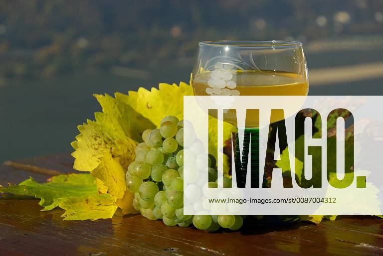 IMAGO Creative, Sommer, Weinfeste und Weinwanderungen federweißer - new wine 11