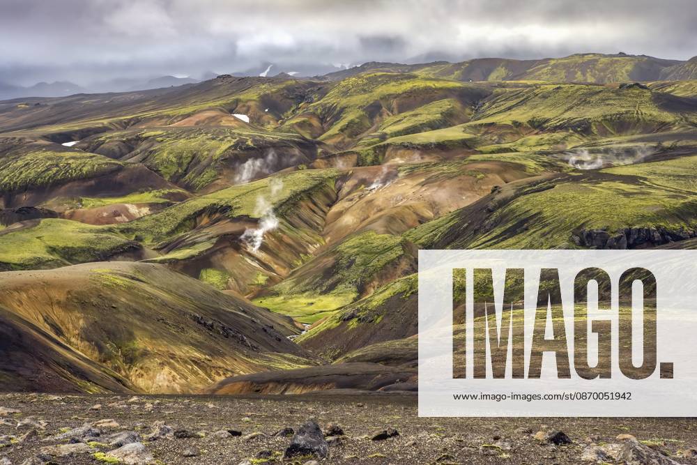 Moos, Flechten und Vulkangestein, Landmannalaugar, Island Moss, Lichen & Igneous Rock, Landmannalaugar, Iceland