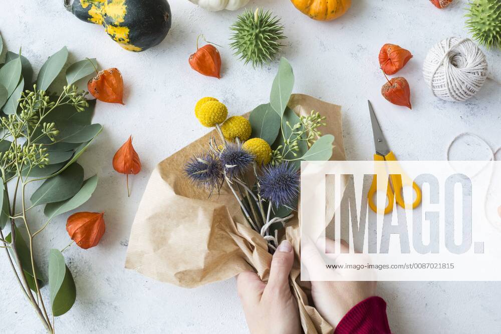 Autumnal decoration, ornamental pumpkins, hands wrapping bunch of flowers model released Symbolfoto JUNF01328