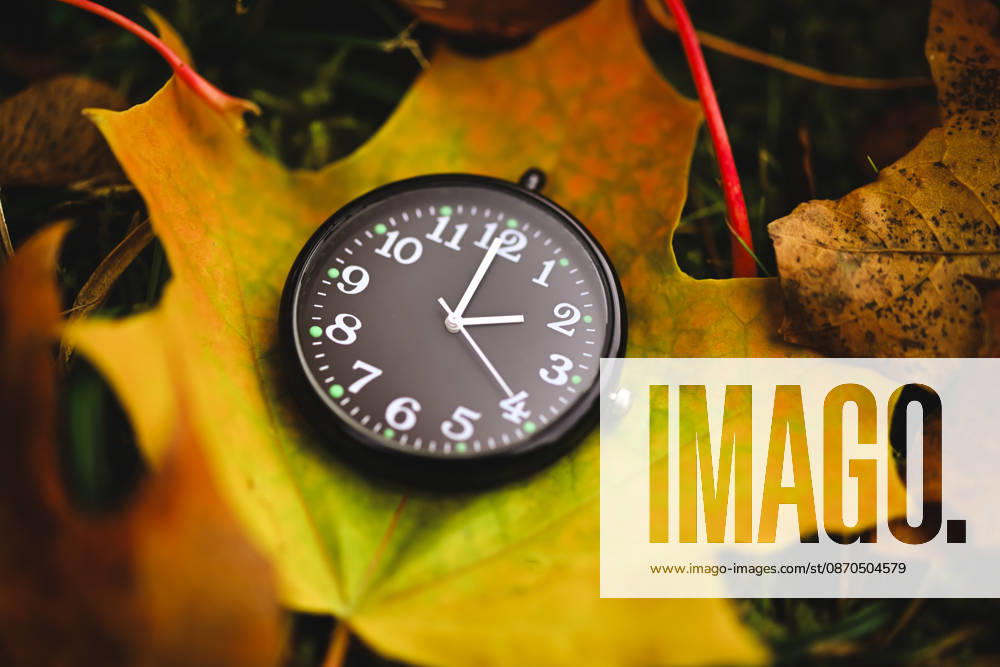 Black clock on an autumn leaf, symbolic photo of the time change, digitally edited in Hamburg, Hamburg, Germany ** ** **