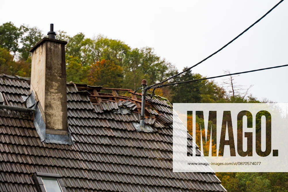 Severe Storms in Rhineland-Palatinate: Storm Uproots Trees and Damages Houses During the night of October 24, 2026, str