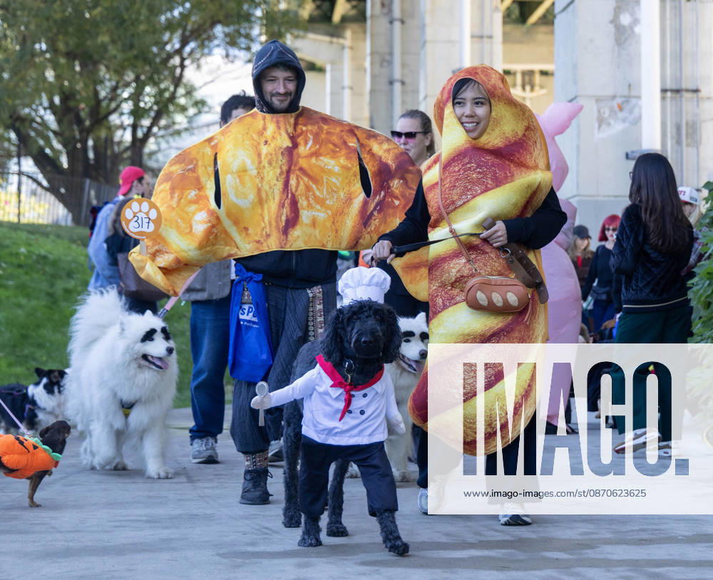 (261025) -- TORONTO, Oct. 25, 2026 -- A dog and its owners take part in Howl oween at the Bentway, a dog-and-owner costume contest, in Toronto, Canada, on Oct. 24, 2026. The annual event was held here on Saturday, bringing Halloween fun for dogs and their owners. (Photo by Xinhua) CANADA-TORONTO-HOWL OWEEN-DOG & OWNER COSTUME CONTEST ZouxZheng