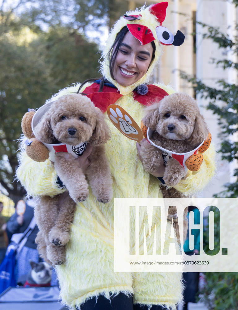 (261025) -- TORONTO, Oct. 25, 2026 -- Two dogs and their owner take part in Howl oween at the Bentway, a dog-and-owner costume contest, in Toronto, Canada, on Oct. 24, 2026. The annual event was held here on Saturday, bringing Halloween fun for dogs and their owners. (Photo by Xinhua) CANADA-TORONTO-HOWL OWEEN-DOG & OWNER COSTUME CONTEST ZouxZheng