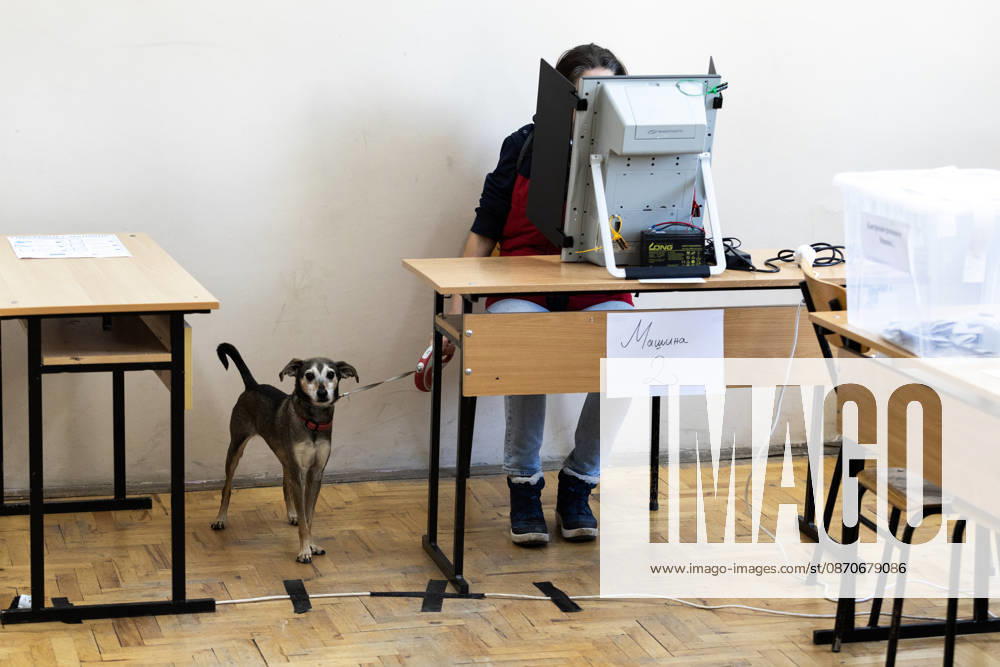 Presidential elections in Bulgaria SOFIA, BULGARIA - OCTOBER 25: A woman casts her ballot at a polling station with her dog during Bulgaria s presidential election in Sofia, Bulgaria, on October 25, 2026. A total of 27 presidential and vice-presidential candidate pairs are participating in the election. Hristo Vladev Anadolu Sofia Bulgaria. Editorial use only. Please get in touch for any other usage.