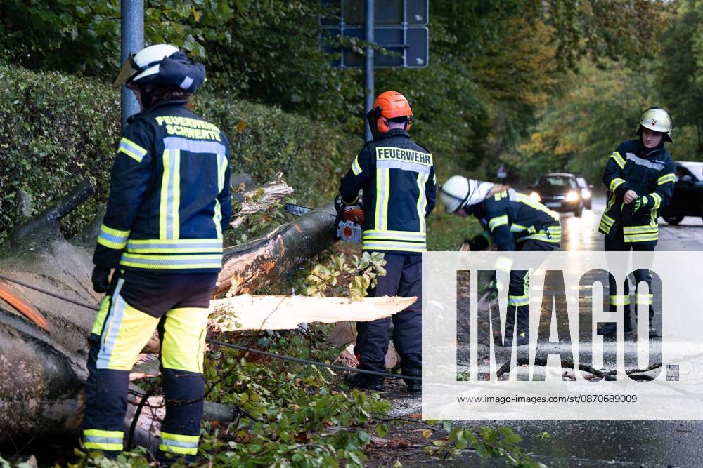 Fallen Tree in Schwerte: 80-Centimeter-Thick Tree Crashes Into Moving Car – Passengers Narrowly Escape Disaster 7aIMG 0578223 Fallen Tree in Schwerte: 80-Centimeter-Thick Tree Crashes Into Moving Car – Passengers narrowly escape disaster North Rhine-Westphalia, Schwerte, Germany