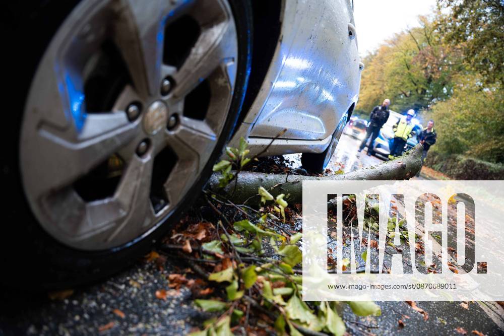 Fallen Tree in Schwerte: 80-centimeter-thick Tree Crashes Into Moving Car – Passengers Narrowly Escape Disaster 7aIMG 0578224 Fallen Tree in Schwerte: 80-centimeter-thick Tree Crashes Into Moving Car – Passengers narrowly escape disaster North Rhine-Westphalia, Schwerte, Germany