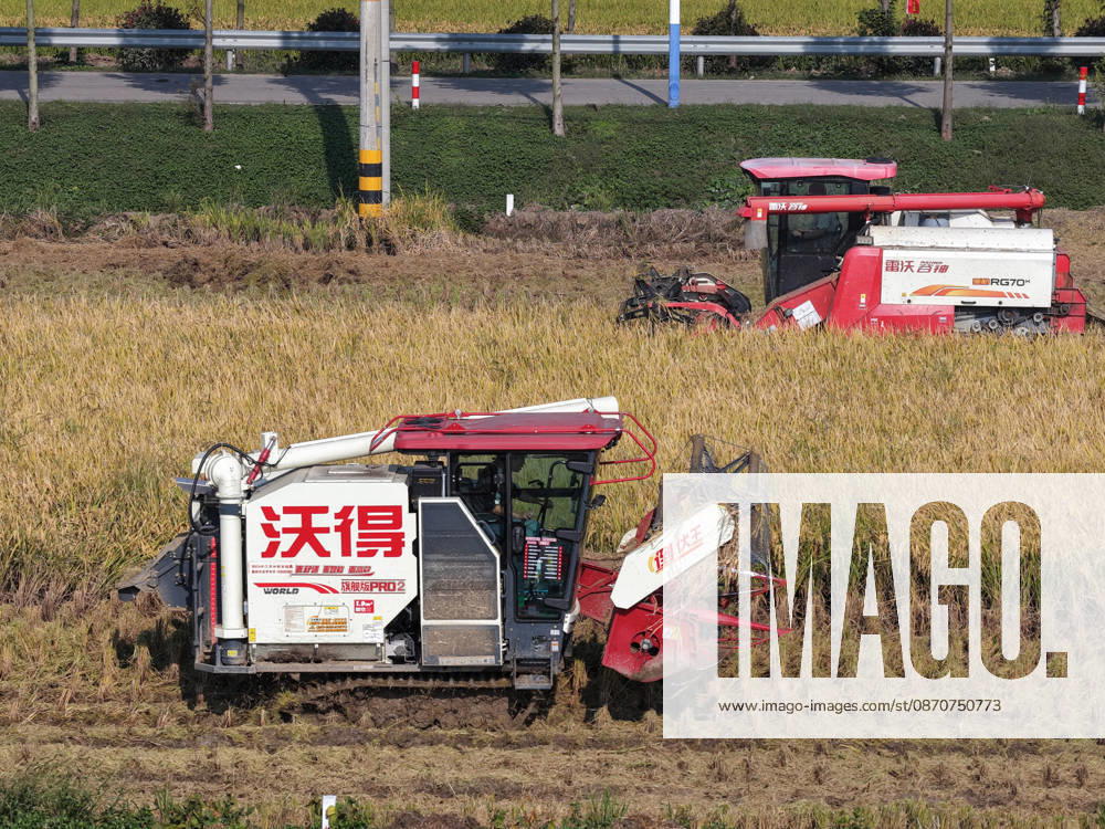 Combine harvesters work in a rice field to harvest late rice on October 26, 2026 in Yangzhou, Jiangsu Province of China.