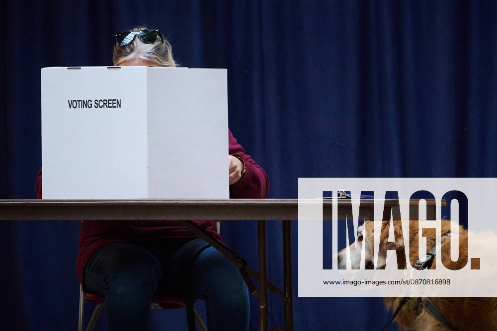 A voter s dog waits alongside them as they vote in Toronto s municipal election at a polling station in Toronto, on Monday, Oct. 26, 2026. Toronto Canada - ZUMAc35_ 20261026_zaf_c35_065