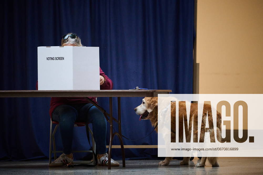 A voter s dog waits alongside them as they vote in Toronto s municipal election at a polling station in Toronto, on Monday, Oct. 26, 2026. Toronto Canada - ZUMAc35_ 20261026_zaf_c35_066