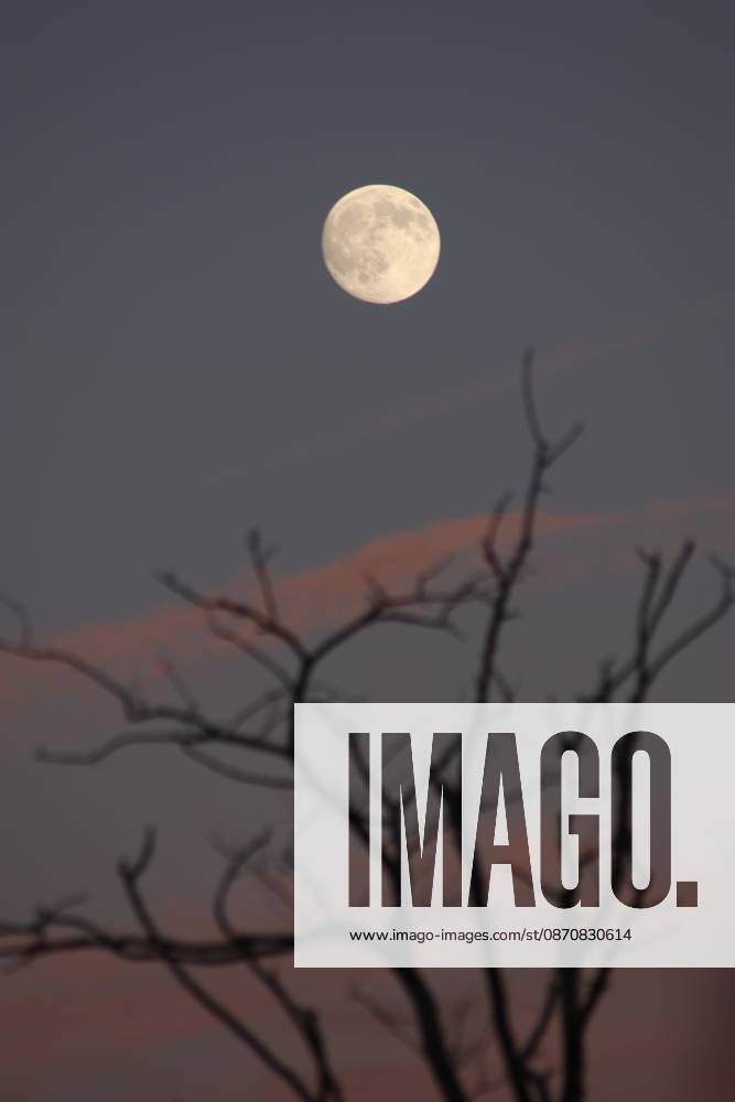 October s full Hunter s Moon in New Jersey SECAUCUS, NEW JERSEY, UNITED STATES - OCTOBER 26: The full moon, known as the Hunter s Moon for the month of October, is seen at Hackensack River in Secaucus, New Jersey, United States on October 26, 2026. Islam Dogru Anadolu New York United States. Editorial use only. Please get in touch for any other usage.