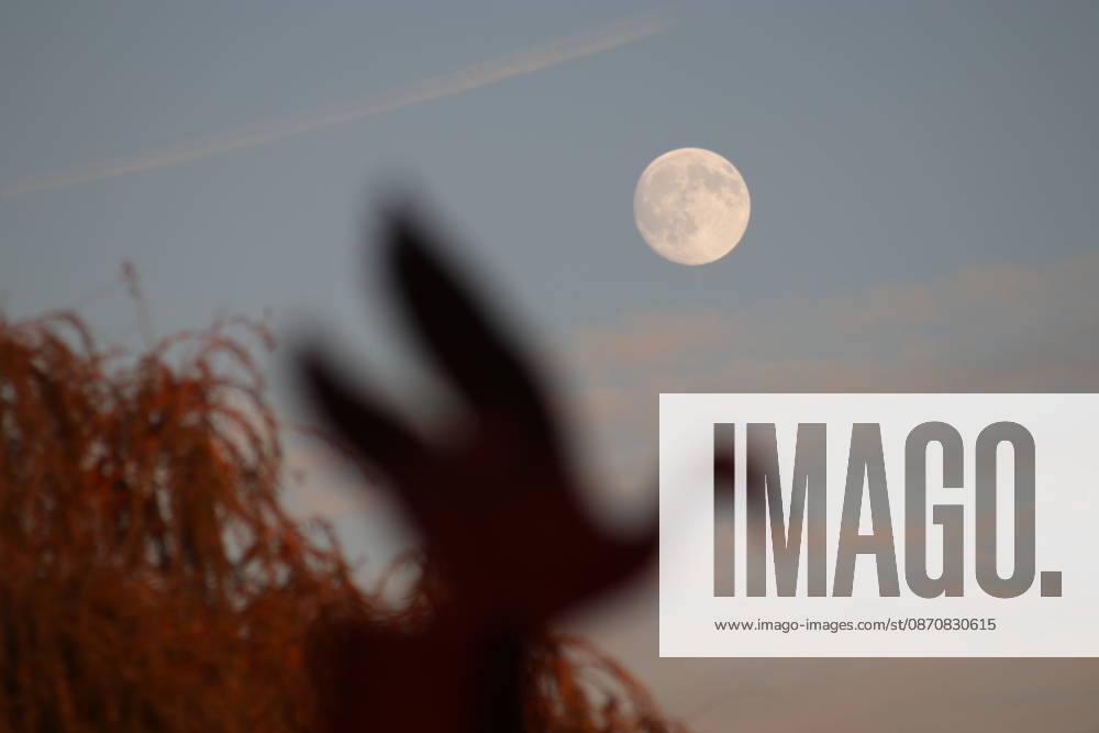 October s full Hunter s Moon in New Jersey SECAUCUS, NEW JERSEY, UNITED STATES - OCTOBER 26: The full moon, known as the Hunter s Moon for the month of October, is seen at Hackensack River in Secaucus, New Jersey, United States on October 26, 2026. Islam Dogru Anadolu New York United States. Editorial use only. Please get in touch for any other usage.