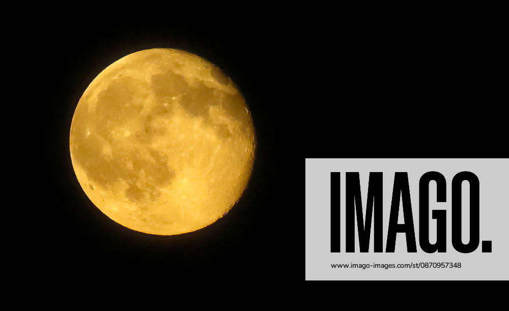 Full Moon, pictured: Full Moon