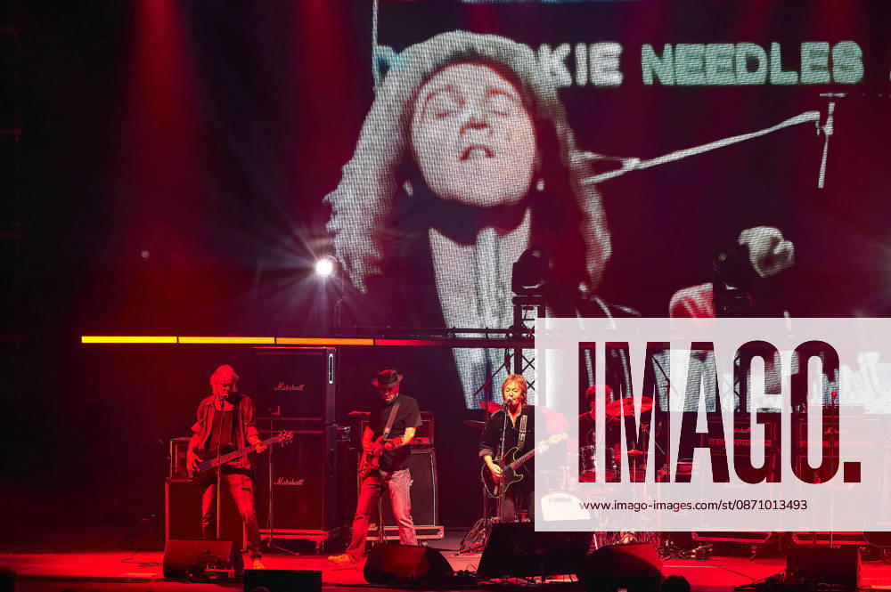 Chris Norman Band live at a concert on the Lifelines Tour at the Swiss Life Hall in Hanover, October 26, 2026 Foto:xU.xFuturexImagex norman_6035