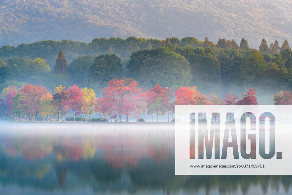 Trees with colorful foliage and the quiet lake water form an autumn landscape under the morning mist at the Moon Crescent Dyke of Qianhu Lake in front of Nanjing Botanical Garden Memorial Sun Yat-Sen on October 31, 2026 in Nanjing, Jiangsu Province of China.