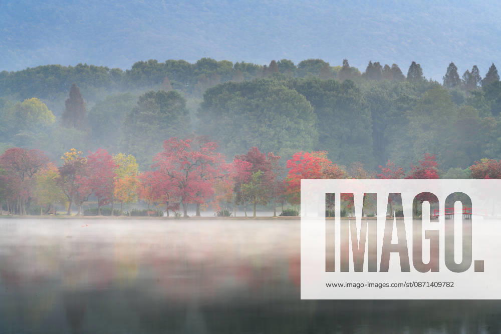Trees with interwoven colors and a quiet lake form an autumn landscape under morning mist at the Crescent Dyke in Front Lake of Nanjing Botanical Garden on October 31, 2026 in Nanjing, Jiangsu Province of China.
