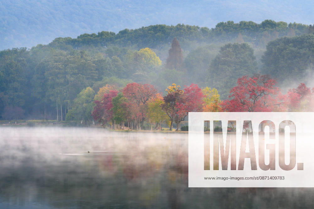 Trees with colorful foliage and a quiet lake are shrouded in morning mist at the Yueya Dyke in front of the Nanjing Botanical Garden on October 31, 2026 in Nanjing, Jiangsu Province of China.