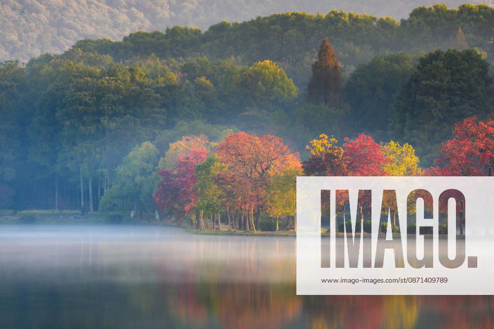 Trees with colorful foliage and a quiet lake are shrouded in morning mist at the Yueya Dyke in front of the Nanjing Botanical Garden on October 31, 2026 in Nanjing, Jiangsu Province of China.