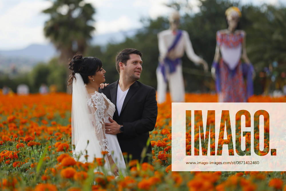 People visit marigold fields ahead of the Day of the Dead celebrations TLAJOMULCO, MEXICO - OCTOBER 30: A couple pose in a field of marigolds, known locally as cempasuchil, at a ranch in the municipality of Tlajomulco de Zuniga, Jalisco state, Mexico, Friday, October 30, 2026. The vibrant orange flower fields attract thousands of visitors each year ahead of the traditional Day of the Dead celebrations. Stringer Anadolu Tlajomulco Mexico. Editorial use only. Please get in touch for any other usage.